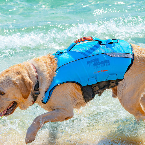 Gilet d'aide à la flottabilité pour sports nautiques - PAWSOME - Aquatone - pour animaux domestiques / mousse / bleu