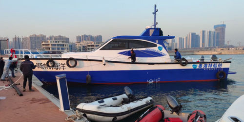 Motor-yacht de pêche - PELAGIC 1700 - Qingdao Allheart Marine Co., Ltd. - avec timonerie