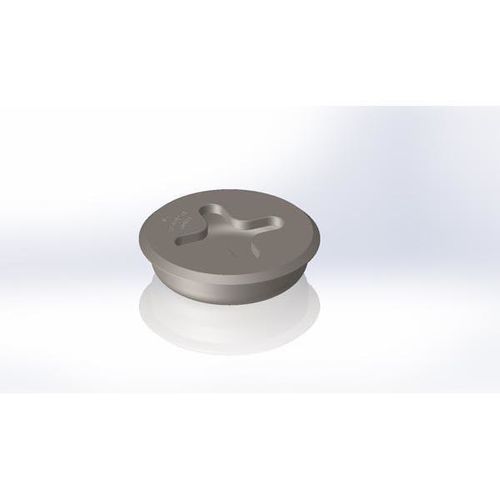 Point d'ancrage pour l'arrimage de conteneur - LP-81-B(258) - International Lashing Systems - fixe