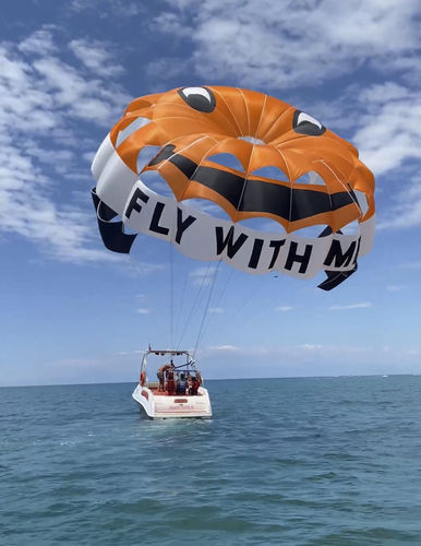 Parachute ascensionnel sur mesure - RP42 FT Earth - Risus Parasails - pour vent fort / pour le lancement du bateau / pour le lancement sur la plage