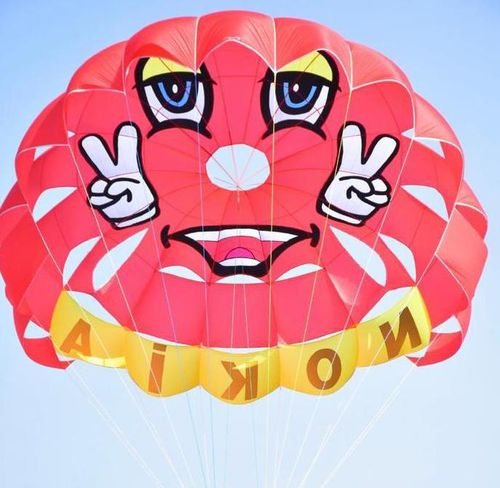 Parachute ascensionnel sur mesure - RP39 FT JUPITER - Risus Parasails - pour vent fort / pour le lancement du bateau / pour le lancement sur la plage