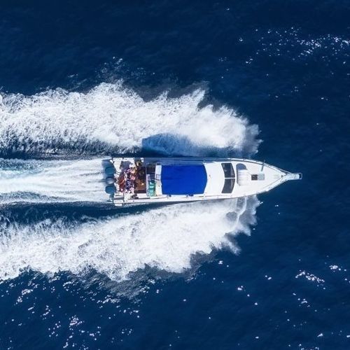 Vedette in-bord - Q6 - Vi Yachts - bimoteur / à fly / max. 14 personnes