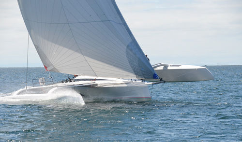 Trimaran - TR 42 Performance - Nautisch Centrum Delfzijl - de croisière / 4 cabines / bout-dehors