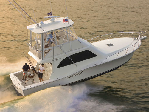 Vedette in-bord - 41 CONVERTIBLE - Albemarle - à fly / de pêche sportive / 5 couchages