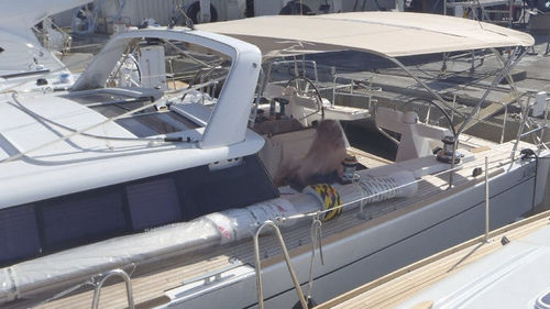 Bimini top pour voilier - Sense 50 - KAPELL ANNAT - pour cockpit / structure en acier inoxydable / beige