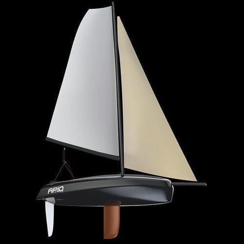 Dériveur double - PERFORMANCE 10 DINGHY - Aeleos Composites - de loisir / en carbone