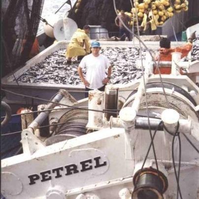 Treuil pour navire - PW-125-LSDA-SF3+3(B45) - Petrel International - de senne tournante / à entraînement hydraulique / en cascade