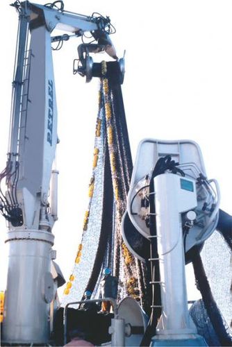 Grue pour navire - NCS series - Petrel International - de pont / articulée