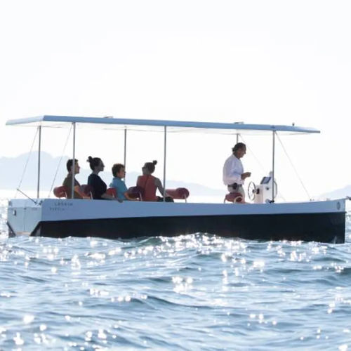 Bateau professionnel électrique - LASAI 20 TR - LASAI - bateau à passagers / in-bord / GRP