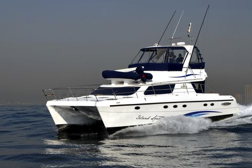 Vedette catamaran - POWERCAT 450 - African Cats - in-bord / à fly / de pêche sportive