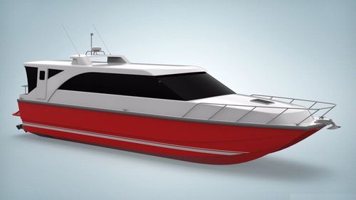 Vedette catamaran - 17m - Brythonic Yachts - hydrojet / bimoteur / hard-top