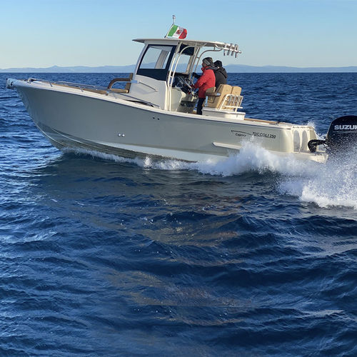 Cabin-cruiser hors-bord - T250 SF Capraia - Tuccoli - Technology Boats - essence / bimoteur / coque planante