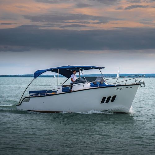 Day-cruiser in-bord - 330 - PELSOLUTIONS - électrique / open / max. 11 personnes