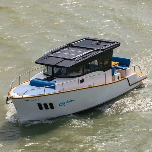 Vedette in-bord - WIA 350 - PELSOLUTIONS - électrique / hard-top / max. 12 personnes
