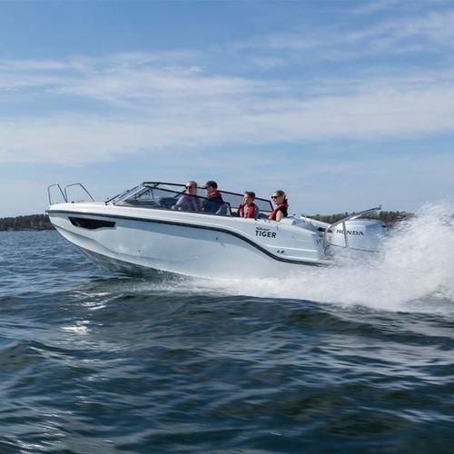 Day-cruiser hors-bord - TIGER DC - Silver - open / en fibre de verre / max. 8 personnes