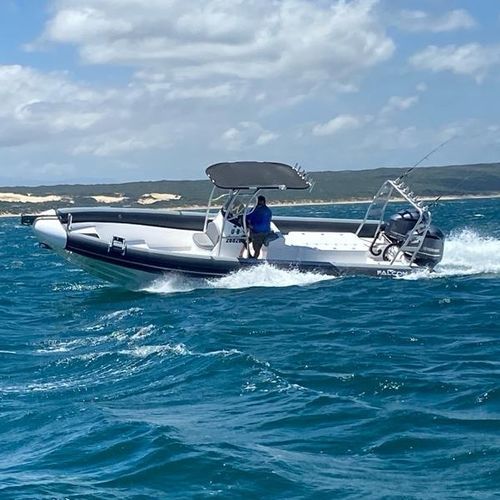 Bateau pneumatique hors-bord - 900 - Falcon Inflatables - essence / diesel / électrique