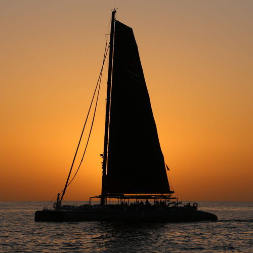 Sailing-yacht catamaran - 78' - Ocean Voyager - à cockpit ouvert / bout-dehors