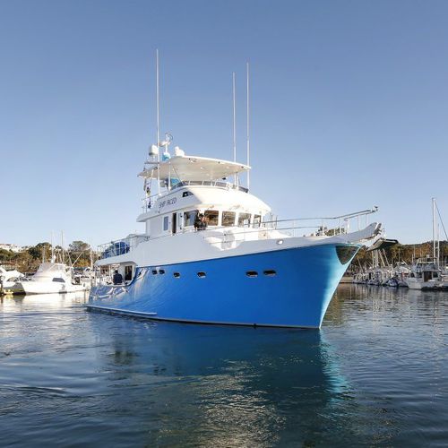 Motor-yacht de croisière - 60 - Nordhavn - de pêche / de plongée / trawler