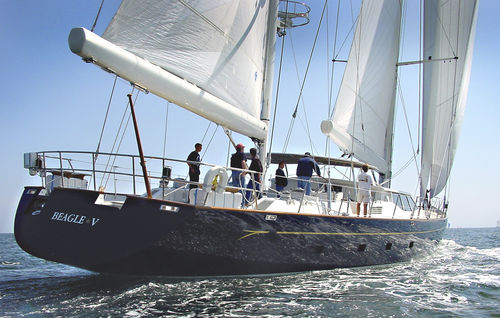 Sailing-superyacht de croisière - BEAGLE V - Pendennis - 4 cabines / à cockpit ouvert / en aluminium