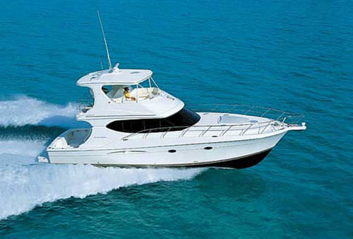 Motor-yacht de pêche sportive - 50  - Silverton - convertible / à fly / 2 cabines