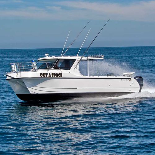 Vedette catamaran - 9000 Kingfisher - LeisureCat - hors-bord / diesel / bimoteur