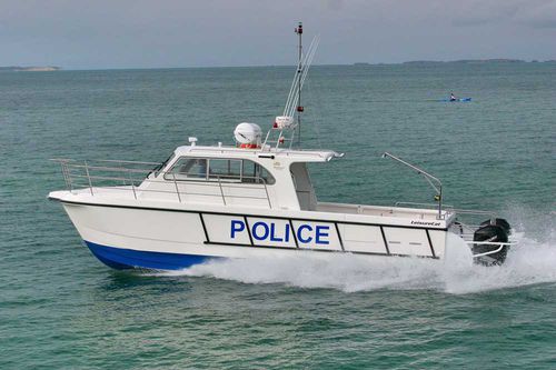 Bateau de surveillance - 350  - LeisureCat - catamaran / hors-bord / diesel