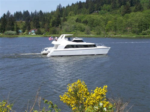 Motor-yacht catamaran - Pedigree Cat 60 - Pedigree Cats - de croisière / à fly / à déplacement