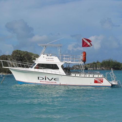 Vedette in-bord - 42'  - Newton Boats - bimoteur / à fly / de plongée