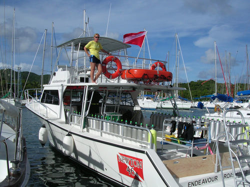 Bateau de support pour la plongée - 46' Dive Special - Newton Boats - in-bord