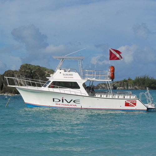 Bateau de support pour la plongée - 42' Dive Special - Newton Boats - in-bord