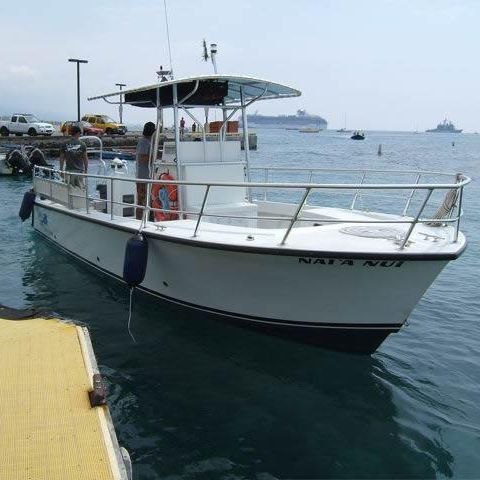 Coque open in-bord - Newton 31' - Newton Boats - diesel / coque planante / à console centrale