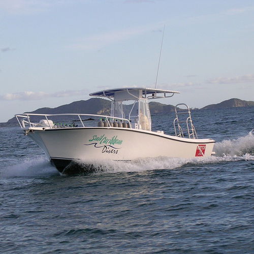 Coque open in-bord - Newton 26' - Newton Boats - à moteur diesel / à console centrale / hard-top