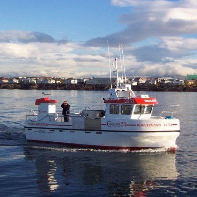 Bateau de pêche professionnelle - 31 - Trefjar - in-bord