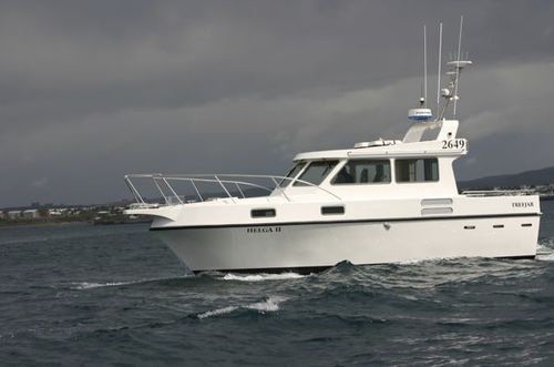 Vedette in-bord - Trefjar - diesel / avec timonerie / de pêche sportive