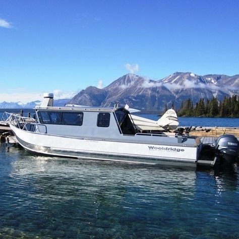 Bateau de pêche-promenade hors-bord - 23' SS PILOTHOUSE - Wooldridge - bimoteur / avec timonerie / offshore
