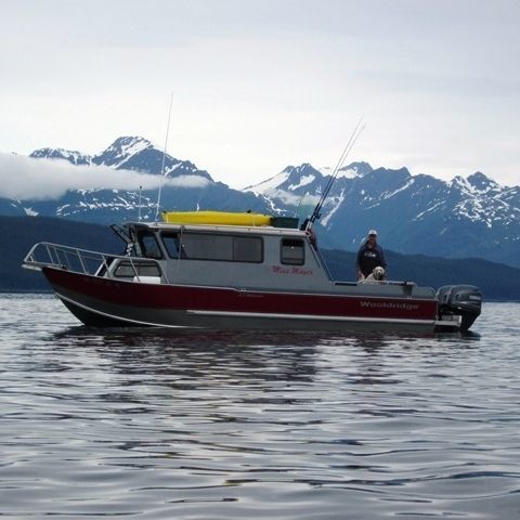 Bateau de pêche-promenade hors-bord - 29' SS PILOTHOUSE - Wooldridge - avec timonerie / offshore / en aluminium