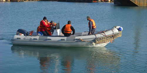 Bateau de support pour la plongée - 730 - Master - hors-bord / bateau pneumatique semi-rigide