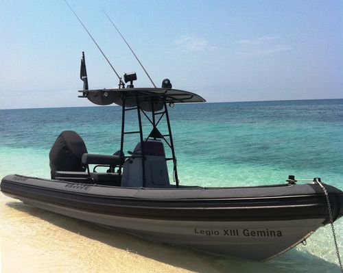 Bateau de surveillance - WAVERIDER 650 - GEMINI MARINE PTY LTD - hors-bord / bateau pneumatique semi-rigide