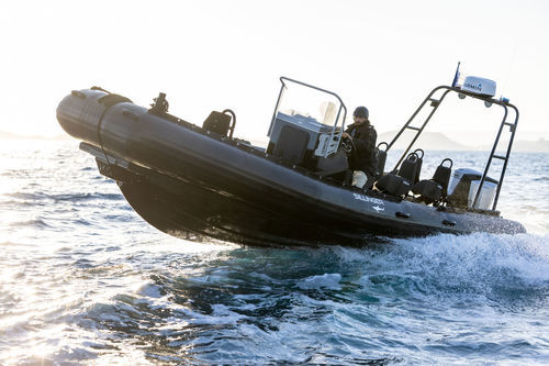 Bateau de surveillance - 765 PRORAID  - Sillinger - bateau de sauvetage / bateau de support pour la plongée / bateau de service portuaire