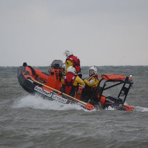 Bateau utilitaire - RIBCRAFT 4.8 - RIBCRAFT - hors-bord / bateau pneumatique semi-rigide