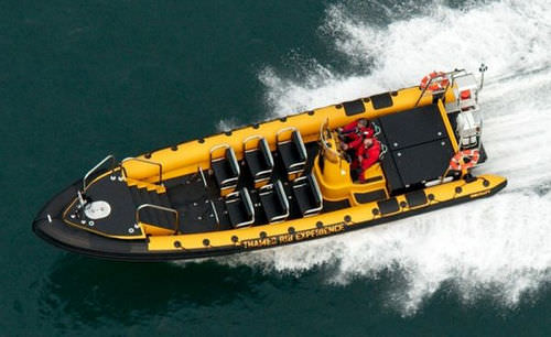 Bateau à passagers - RIBCRAFT 12.0  - RIBCRAFT - in-bord / bateau pneumatique semi-rigide