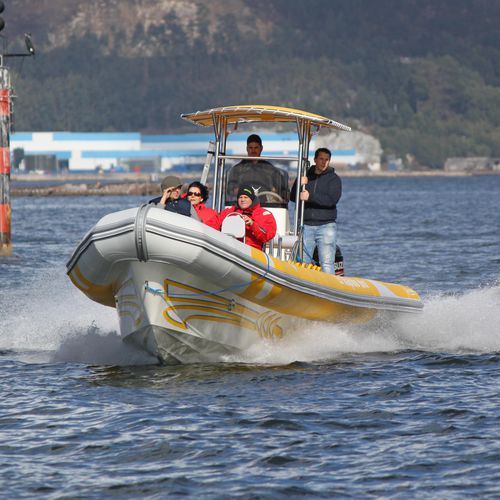 Bateau promenade - FAST-1100  - Narwhal - bateau de support pour la plongée / hors-bord / bateau pneumatique semi-rigide
