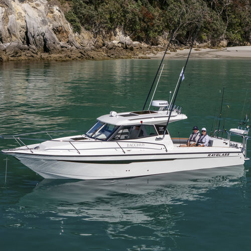 Cabin-cruiser hors-bord - 3000 - Rayglass Boats - in-bord / avec timonerie / de pêche sportive