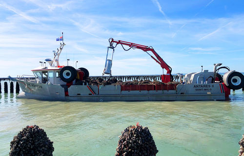 Bateau de pêche professionnelle - ANTARES - Chantier Naval Delavergne - in-bord / en aluminium / coque rigide