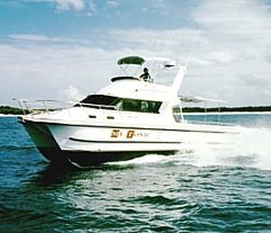Vedette catamaran - 3500 - Noosa Cat Australia - hors-bord / bimoteur / à fly