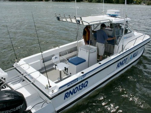Walkaround catamaran - 3000 - Noosa Cat Australia - hors-bord