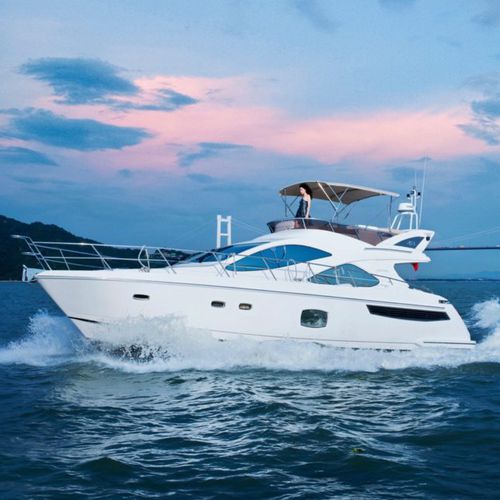 Vedette in-bord - Artemis 43 - Selene - hard-top / à fly / rapide