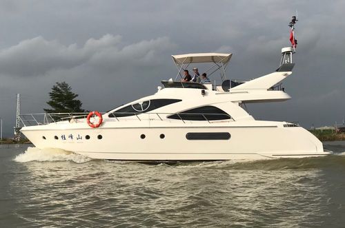 Vedette in-bord - Artemis 48 - Selene - hard-top / à fly / rapide