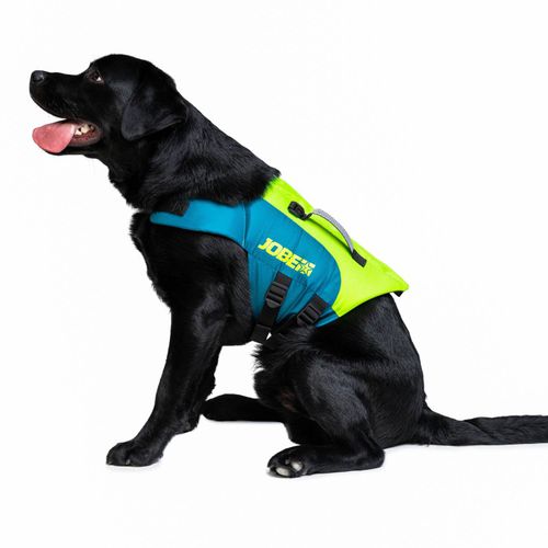 Gilet d'aide à la flottabilité pour sports nautiques - Lime Teal - Jobe Sports - pour animaux domestiques / mousse