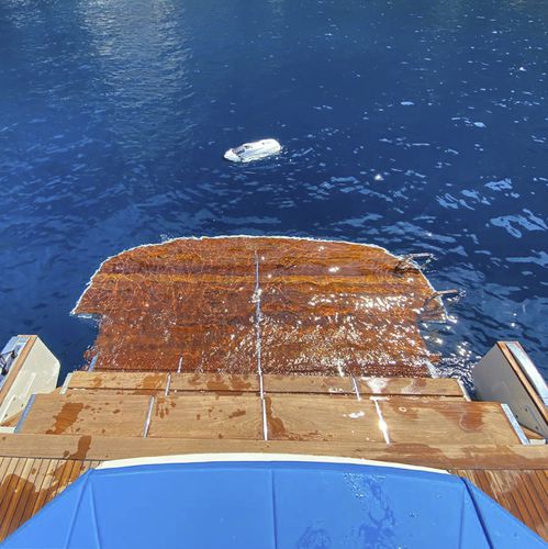 Plateforme élévatrice - LP 200 - Besenzoni SpA - d'embarquement / pour bateau / pour yacht